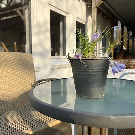 Foresthaus Hébergement de vacances *