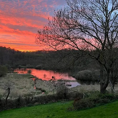 Vakantiehuis Foresthaus *