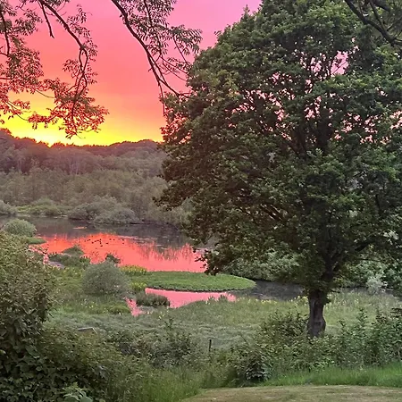 Hébergement de vacances Foresthaus *