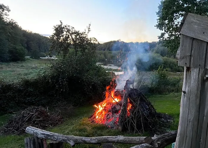 Foresthaus Nyaraló *