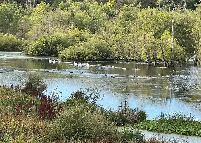 Foresthaus Glücksburg
