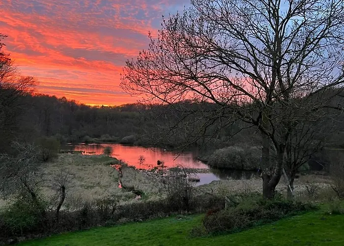 Semesterbostad Foresthaus *